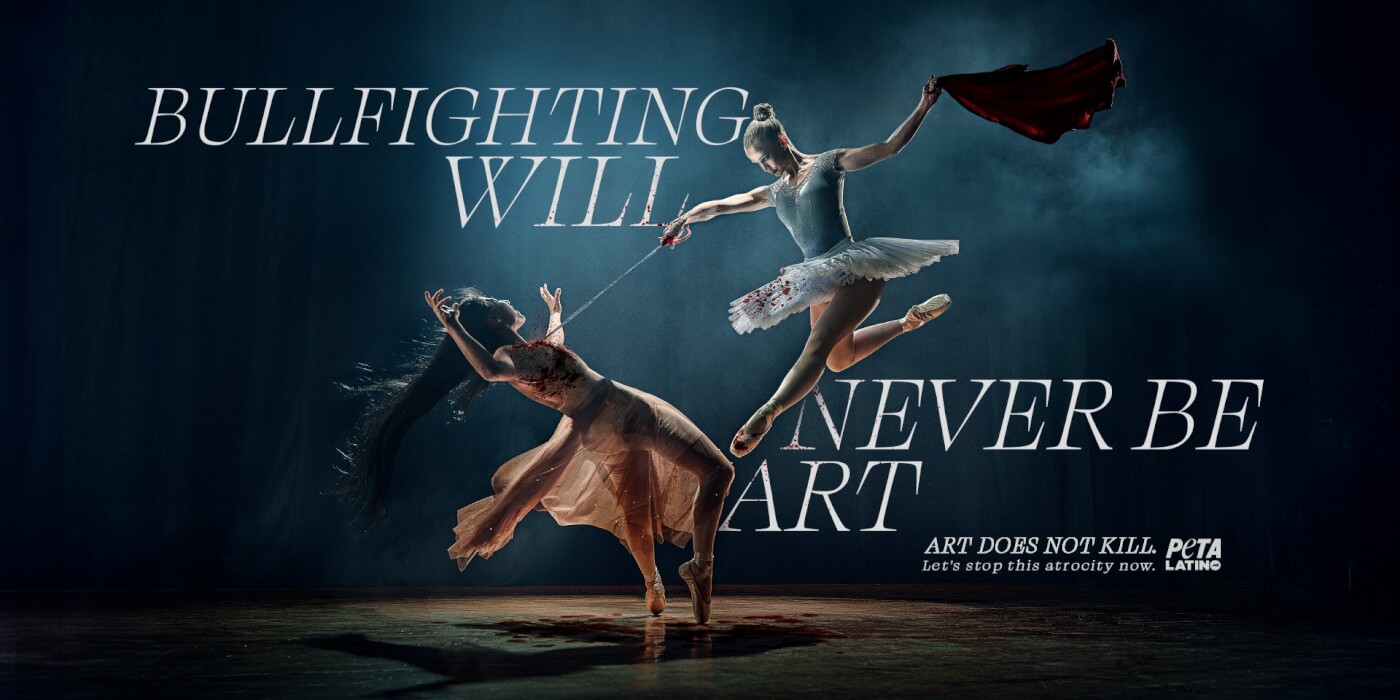 Two ballerinas mimic a bullfighting scene