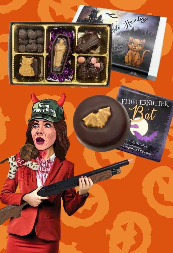 chocolates and costume of Noem puppy killer on a pumpkin orange background