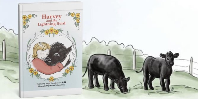 Harvey and the Lightning Herd book mock up with illustration of cows from the book next to it.