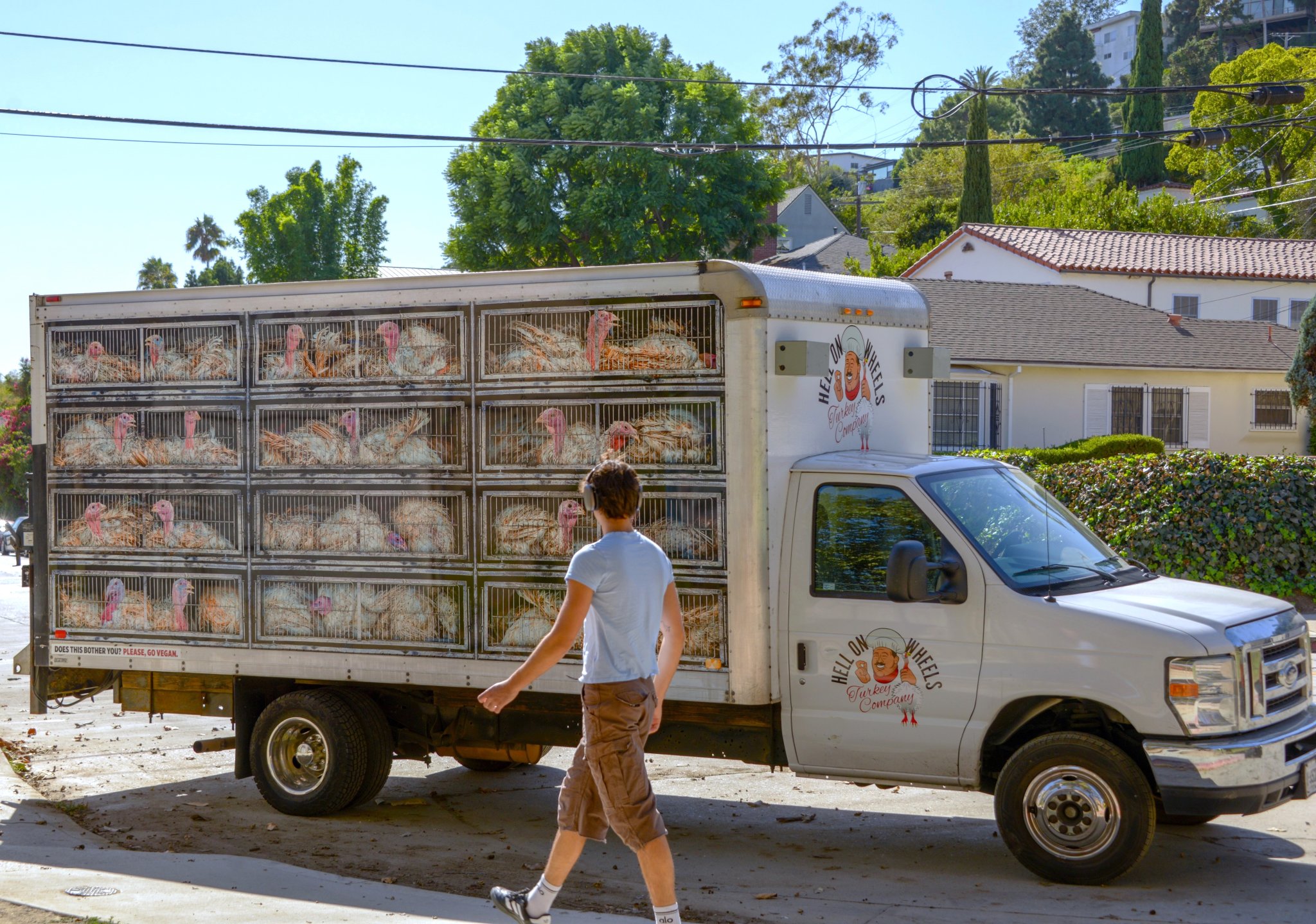 ‘screaming Turkey’ Truck To Confront Thanksgiving Shoppers Nationwide 