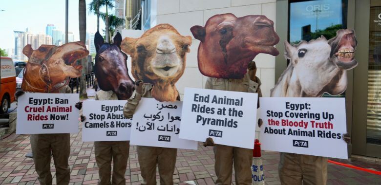 Herd of ‘Animals’ in Hong Kong Protest Against Animal Abuse