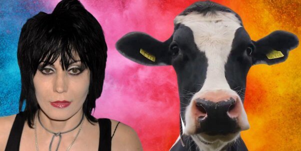 joan jett and a cow over a colorful tie dye background