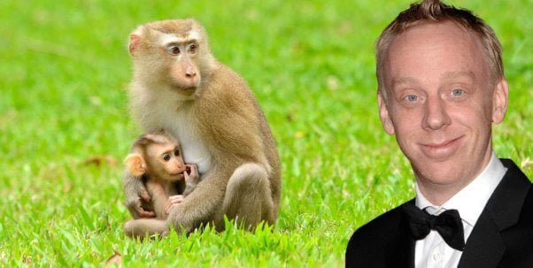 mike white with monkeys