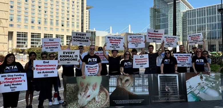 Protesters Gather at Gruesome Animal Experimentation Summit