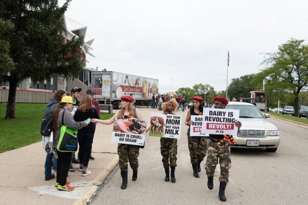 PETA World Dairy Expo, dairy is revolting