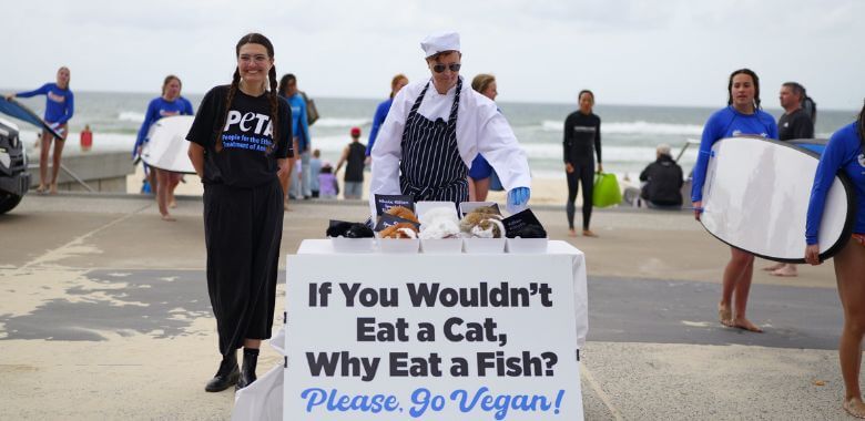 ‘Catmonger’ Serves Up ‘Dead Cats’ as Reminder That Eating Fish Is No Different