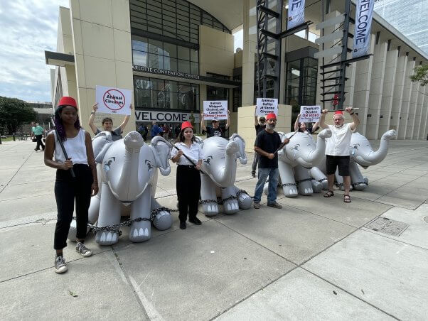 PETA protest outside Shriners International Imperial Session in Charlotte, NC, in July 2023