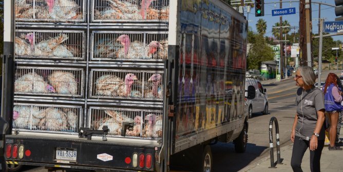 PETA turkey truck on the street in California