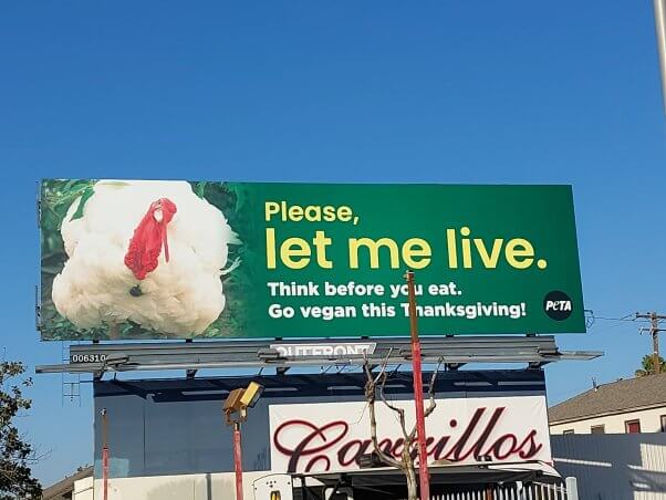 "please let me live" turkey billboard in fresno, ca