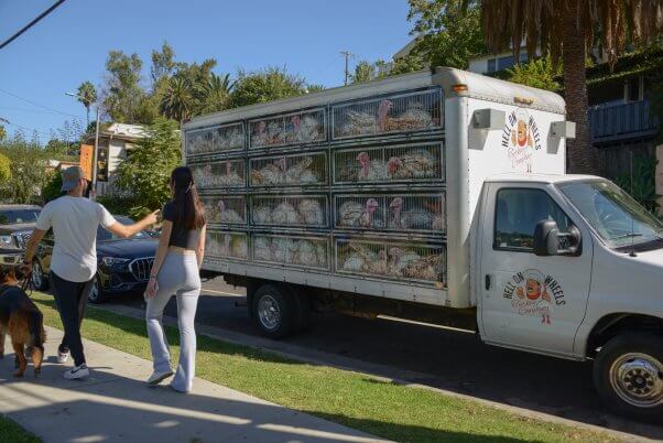 People on the street react to PETA's Hell on Wheels turkey truck