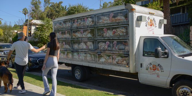 People on the street react to PETA's Hell on Wheels turkey truck