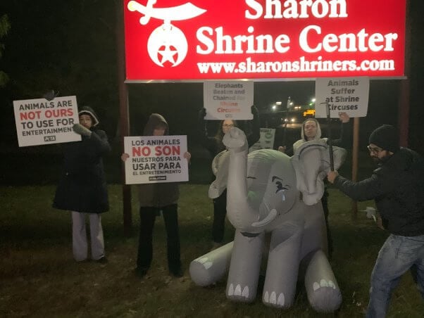 PETA protests elephant abuse outside the Sharon Shrine Center in Texas