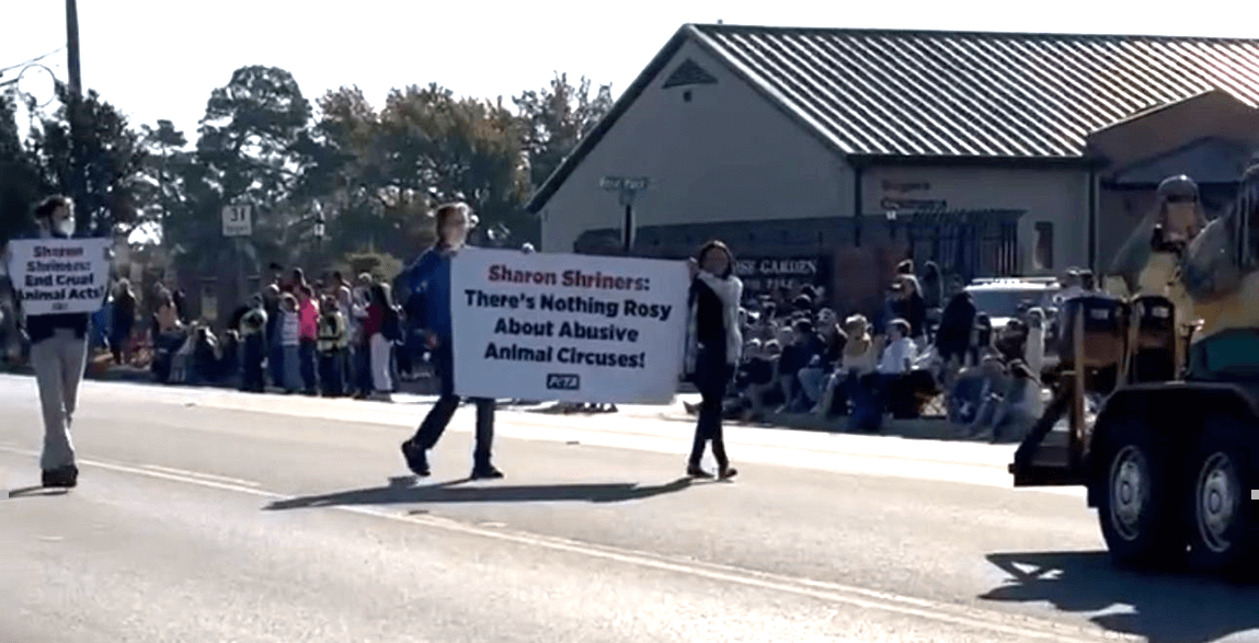 A trio of PETA protesters swarmed the Sharon Shriners during the Texas Rose Festival Rose Parade at the intersection of Fair Park Drive and W. Front Street with a banner proclaiming, “Sharon Shriners: There’s Nothing Rosy About Abusive Animal Circuses.”