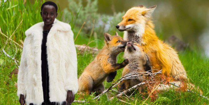 Stella McCartney's faux fur gift next to a family of foxes