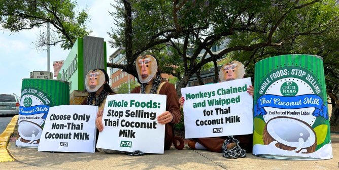 Group of protesters dressed in chained monkey costumes protesting whole foods