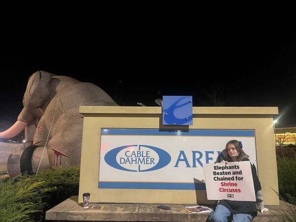 woman standing outside ararat shrine circus next to a giant blow-up elephant