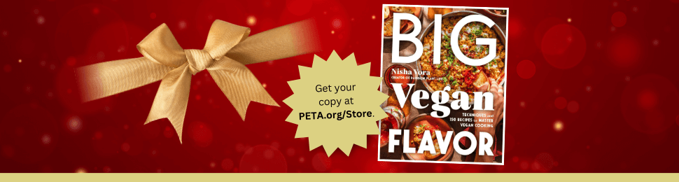 Nisha Vora's book 'Big Vegan Flavor'