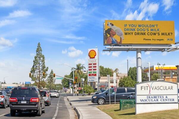 Photo of billboard featuring an edited photo of a woman drinking milk from a dog. Text reads "If you wouldn't drink dog's milk, why drink cow's milk? Please, try vegan"