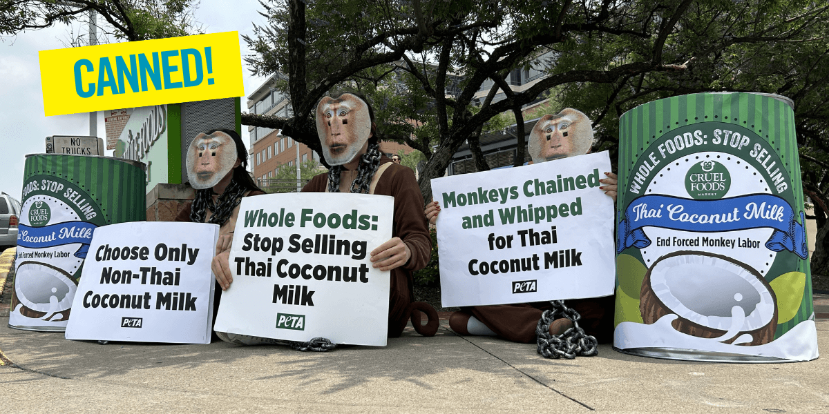 Protestors wear monkey masks and hold signs asking Whole Foods to stop selling Thai coconut milk