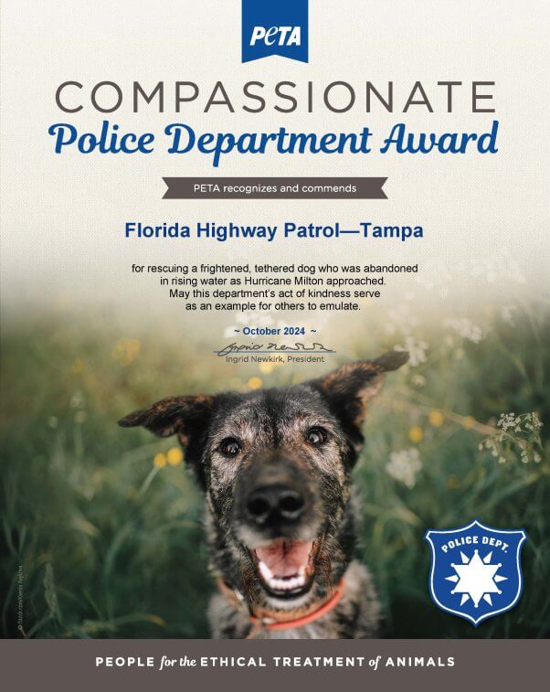 Compassionate Police Department Award for the Florida Highway Patrol in Tampa.