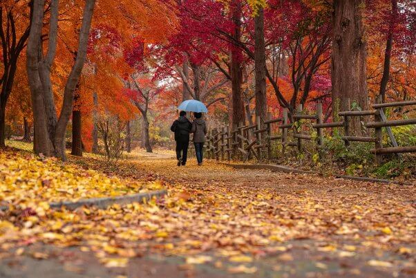 couple walking on a forest path with autumn colors