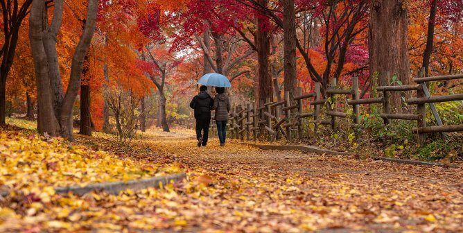 couple walking on a forest path with autumn colors