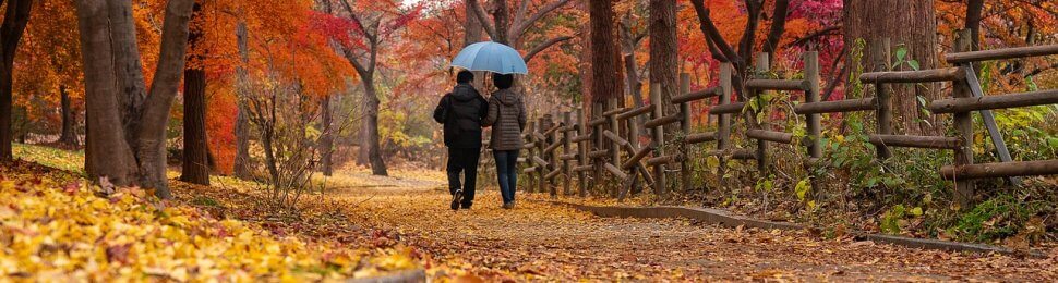 couple walking on a forest path with autumn colors