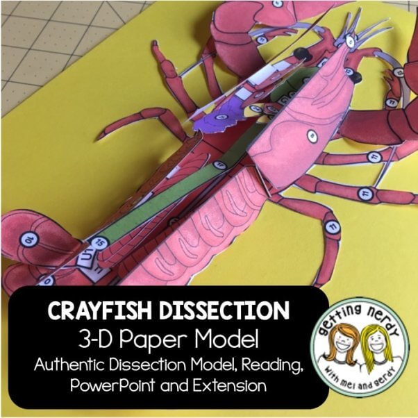 Paper crayfish dissection kit from Getting Nerdy