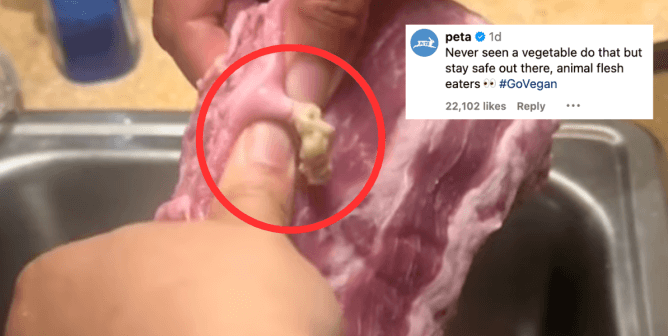 someone squeezes pus out of cysts in chunk of meat