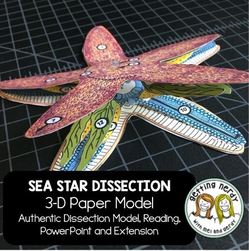 Paper starfish dissection kit from Getting Nerdy