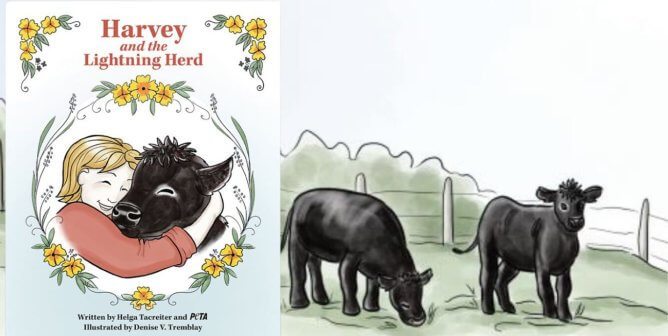 harvey and the lightning herd book