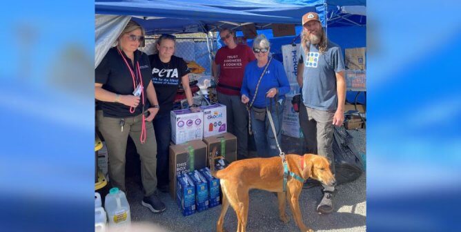 Group of PETA supporters delivering food and litter to hurricane victims in NC