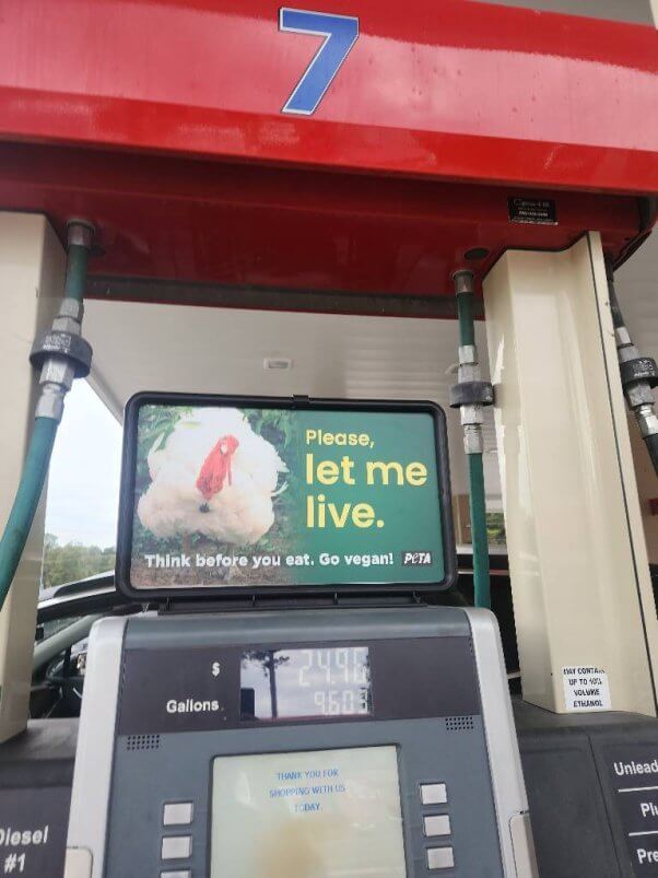 "please let me live" turkey ad on gas pump topper