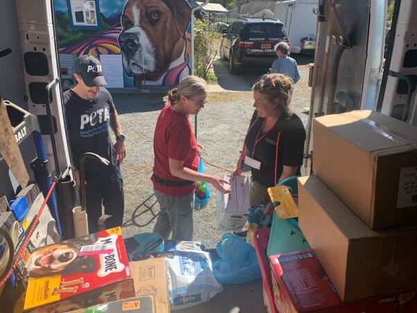 photograph from back of van, showing three people outside. foreground is boxes full of animal care supplies.