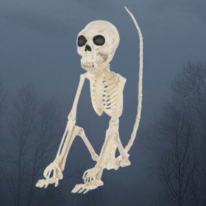 monkey skeleton halloween decor