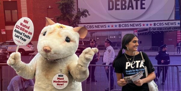 Mouse outside the vice president debate