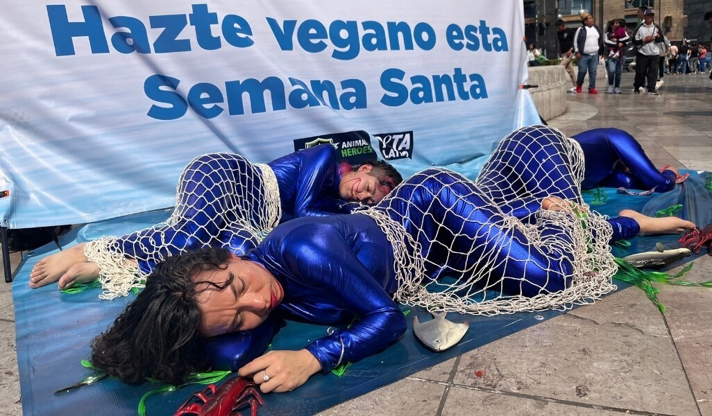 Protestors in body suits lie on the ground, covered with a fishing net