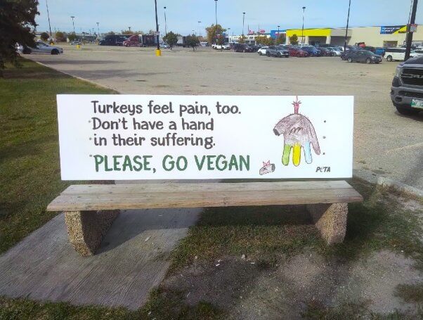 Photo of a bench with a banner showing a beheaded hand turkey. Text reads Turkeys feel pain, too. Don't have a hand in their suffering. Please, go vegan