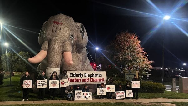 protestors outside ararat shrine 