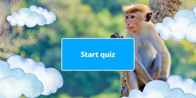 Toque macaque in treetop surrounded by illustrations of clouds and button that says start quiz