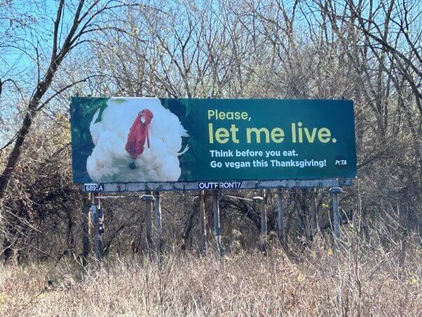 "please let me live" turkey billboard in terre haute, indiana