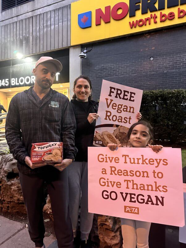 passersby recieving vegan turkeys at a PETA giveaway in Ontario, Canada