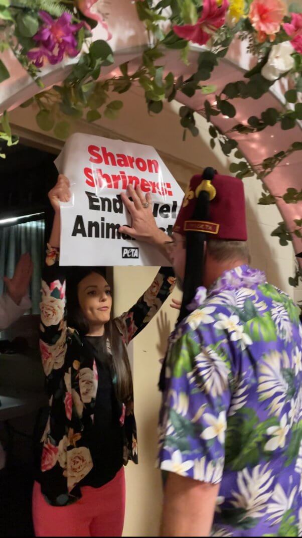 PETA protestor faces off with a Shriner