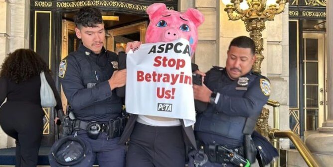 Police escorting a demonstrator in a pig mask