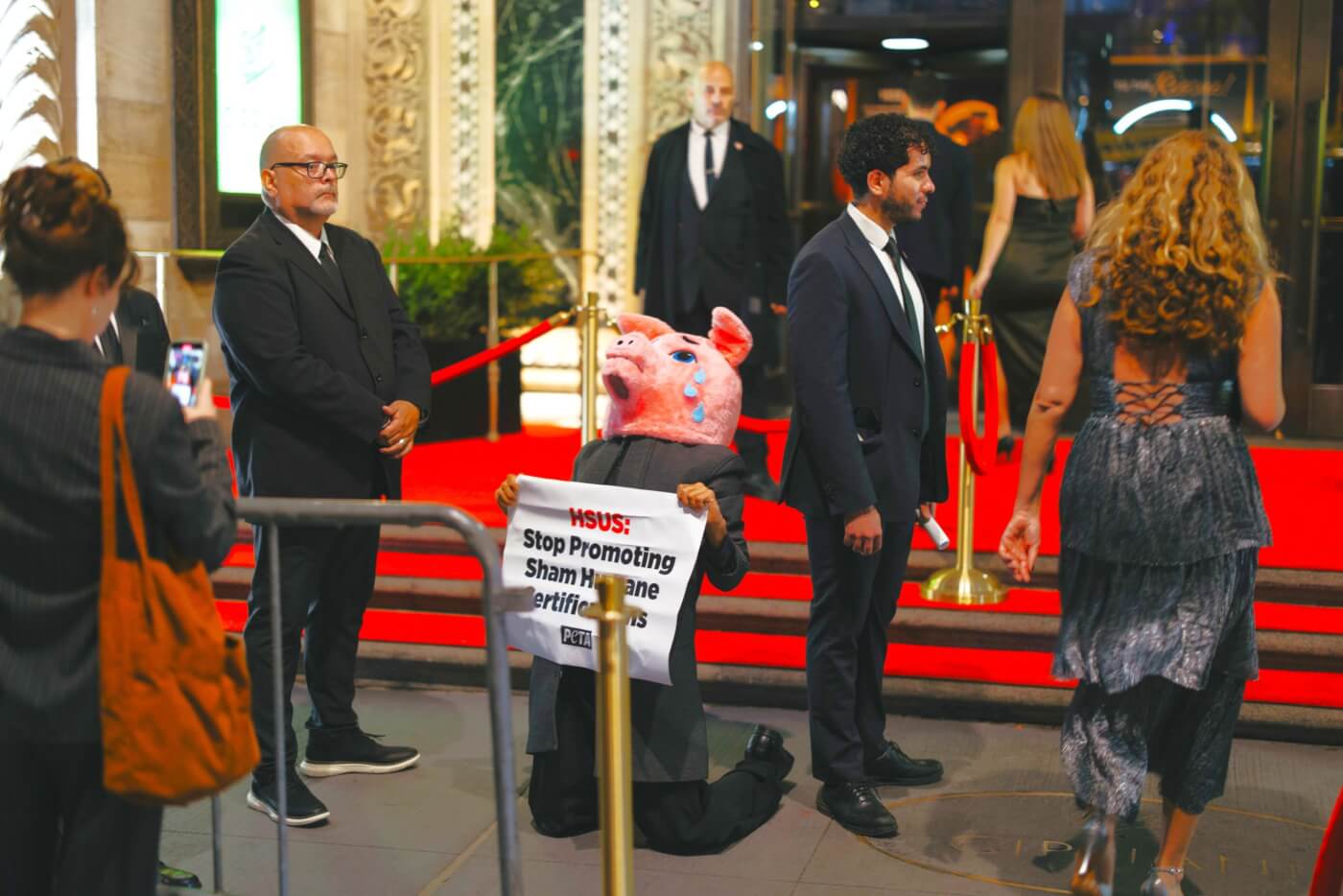 Pig mascot protesting HSUS