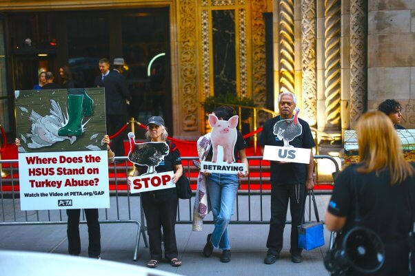 HSUS group protest