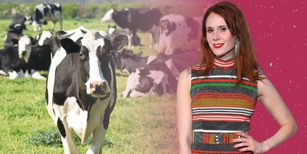 Kate Nash with cow