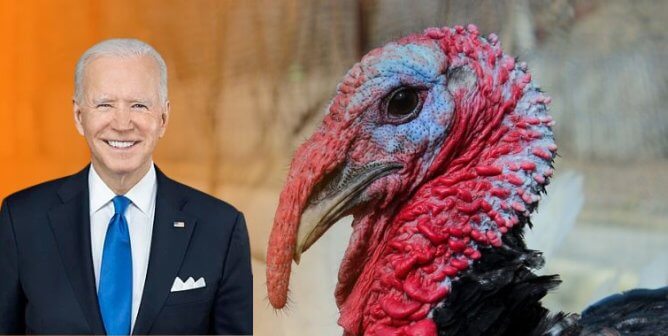 Biden next to a turkey