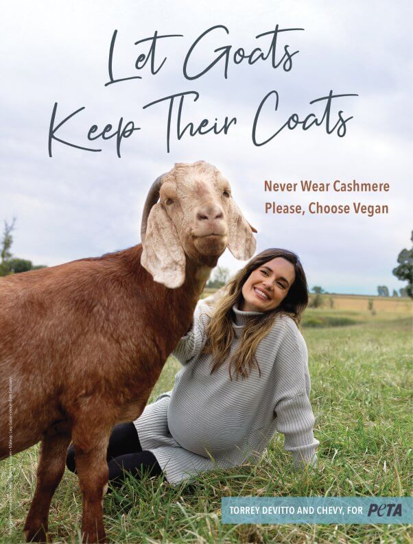 torrey devitto and her rescued goat in PETA ad that says "let goats keep their coats"