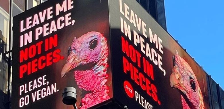 Turkey billboard in New York